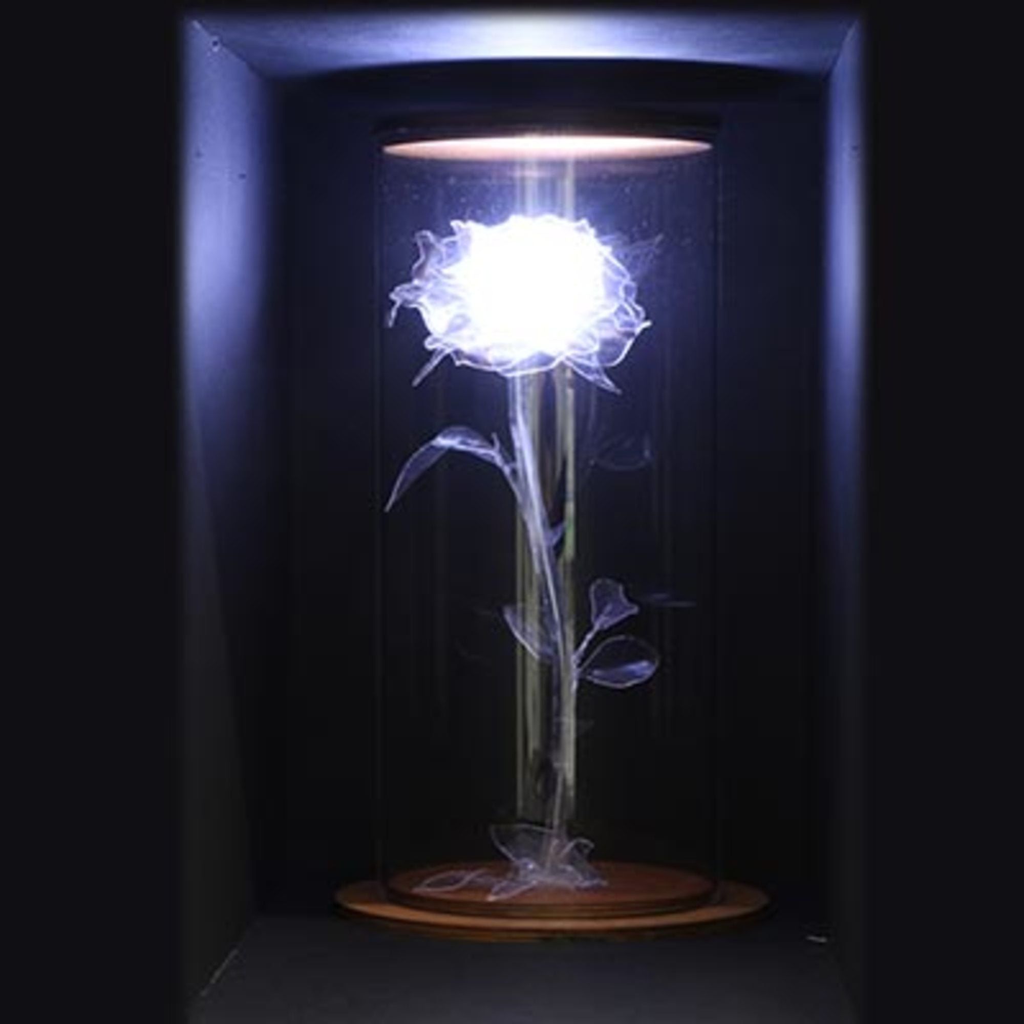 Worbla Transpa Art 370  248mm