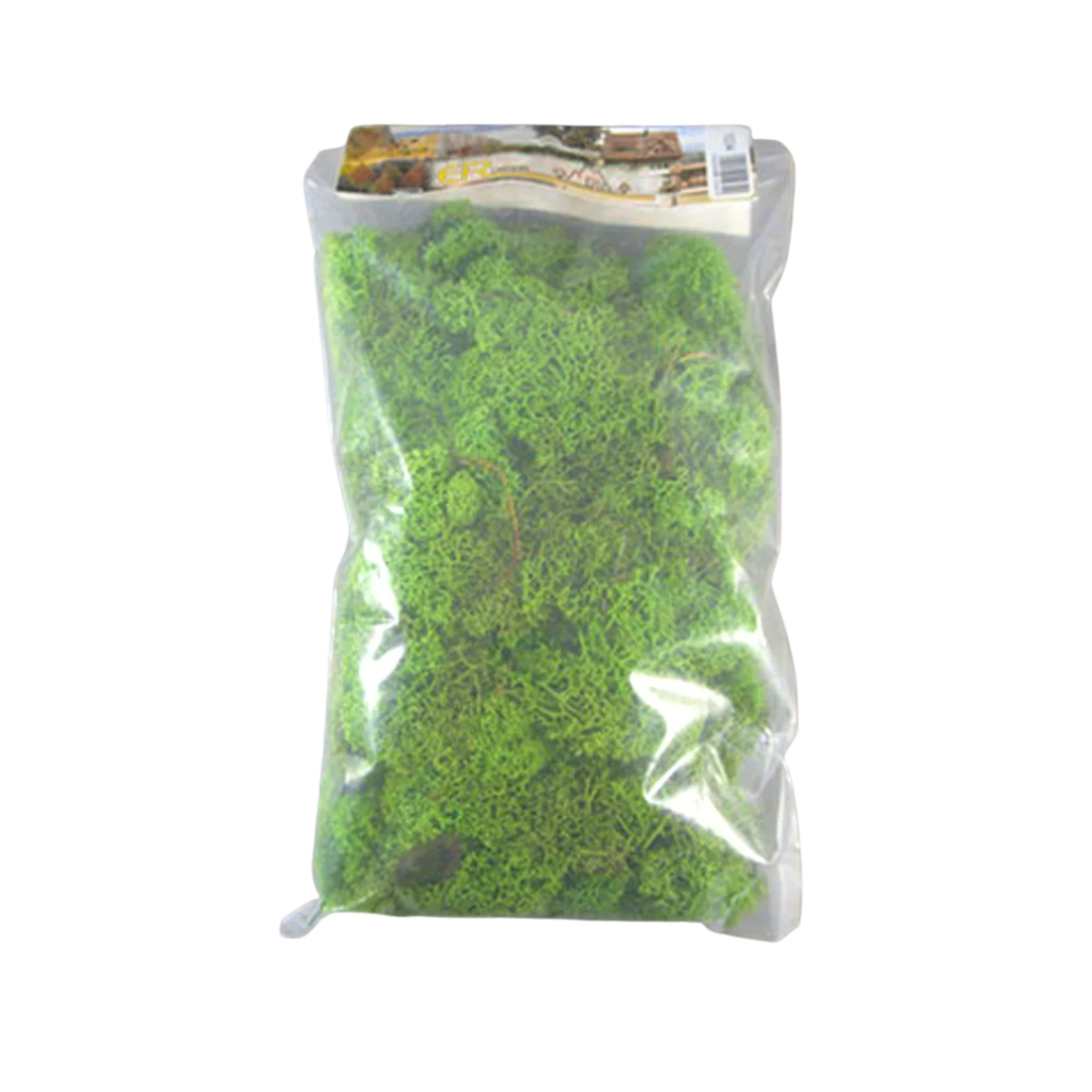 Lichen Medium Green 250g