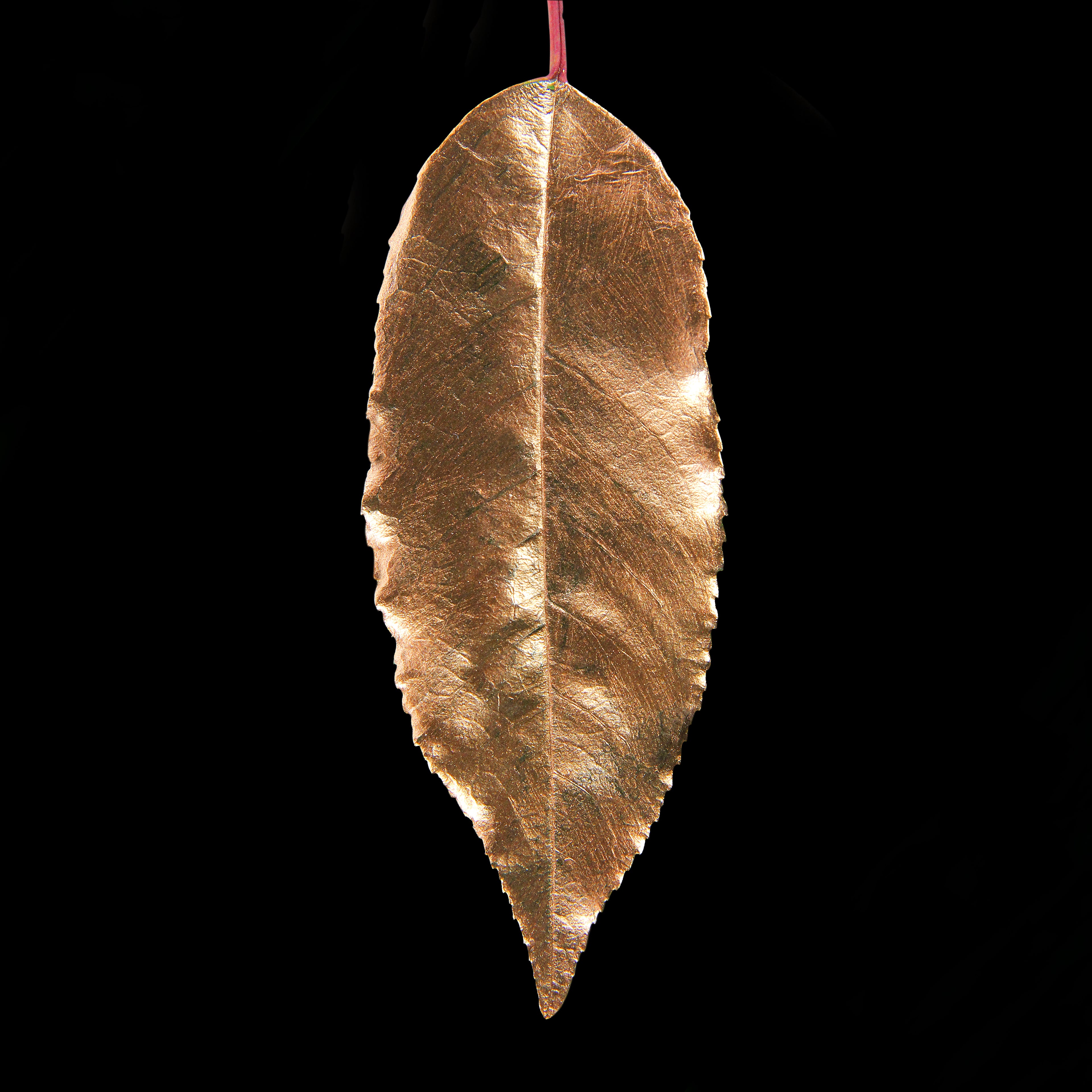 Leaf_BNZ_#3.jpg