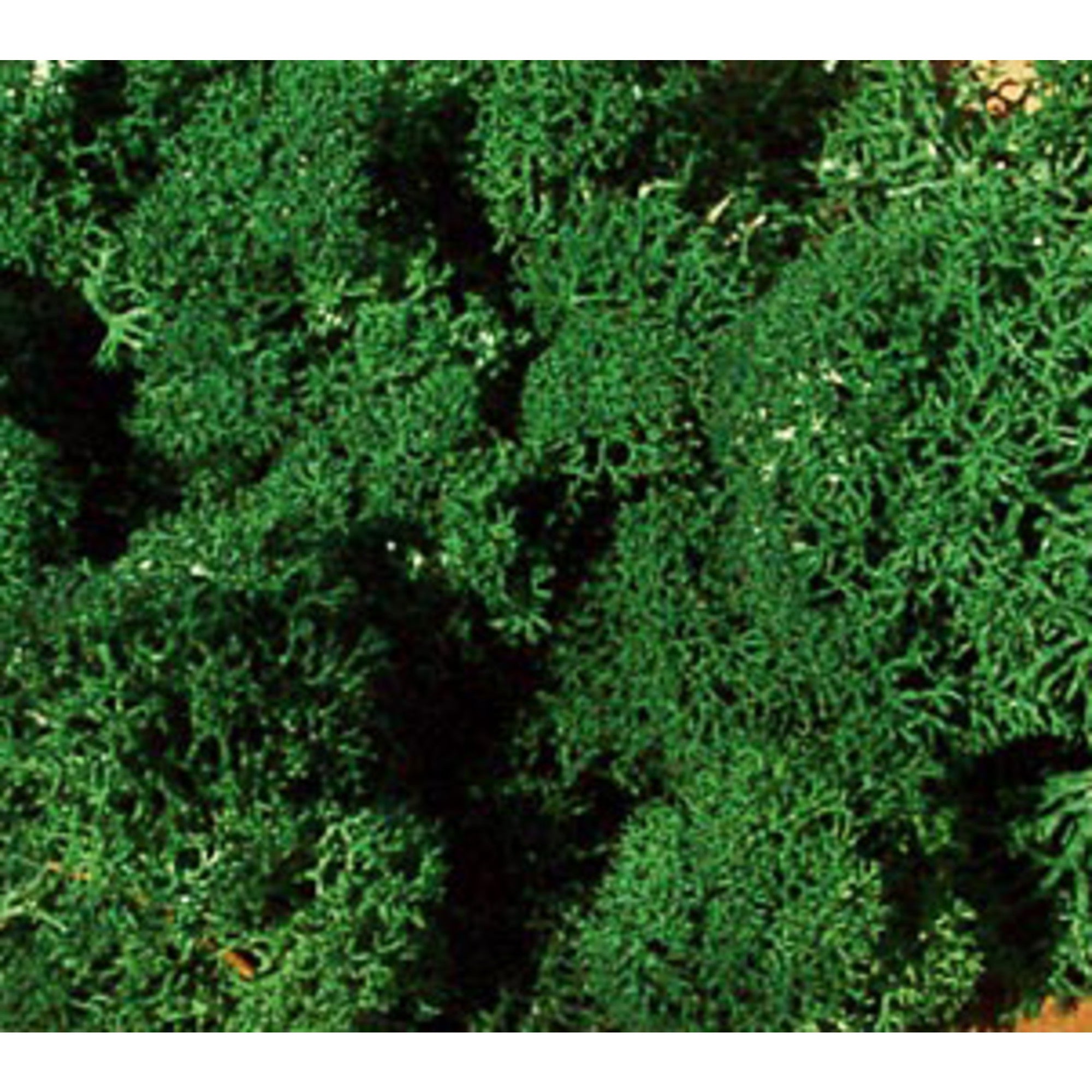 3210 Standard Lichen Light Green