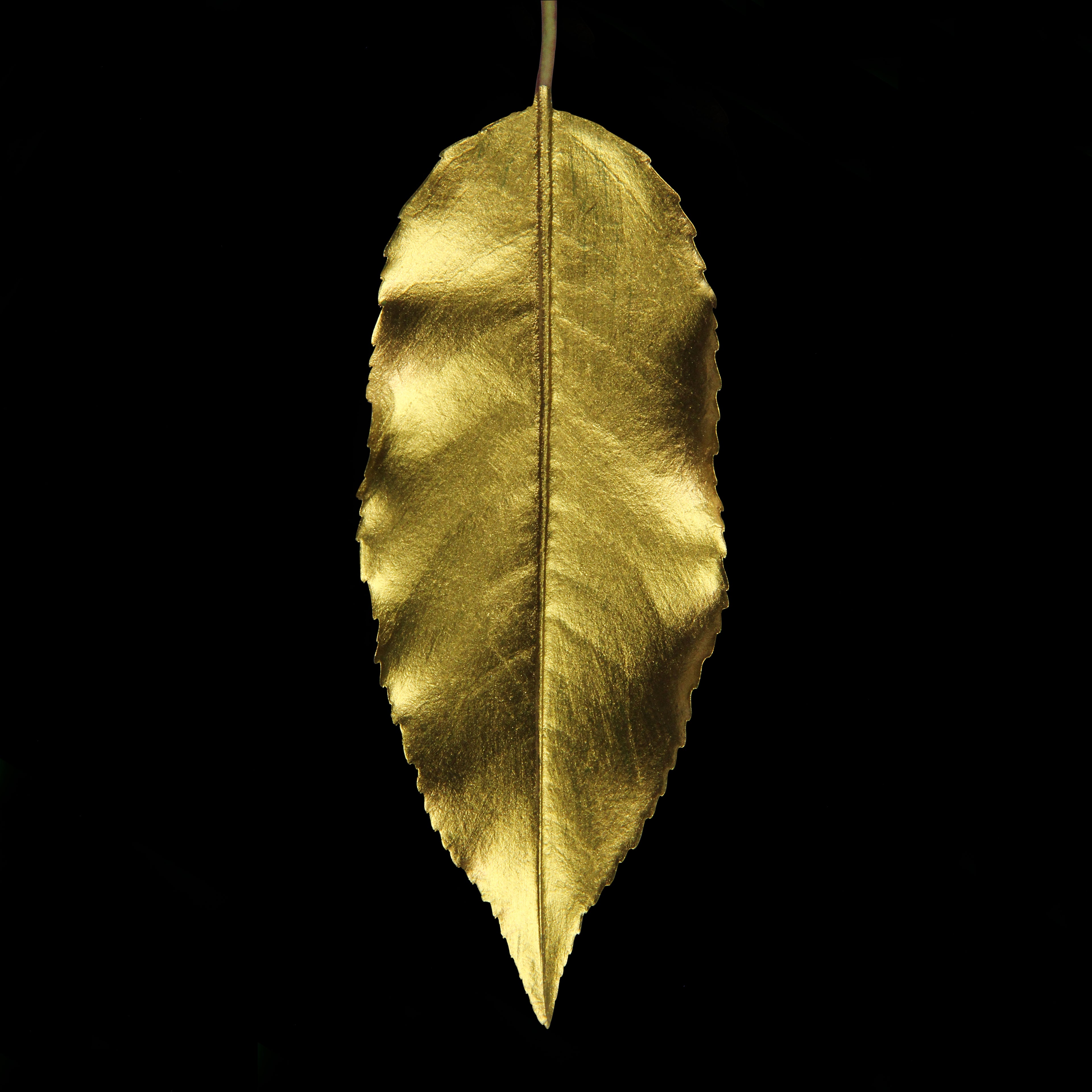 Leaf_GLD_#3.jpg