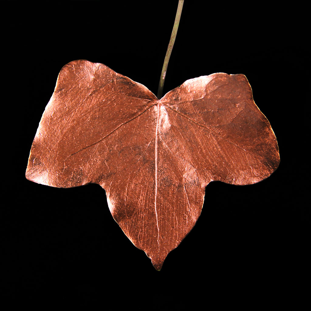 Leaf_CPR_#1.jpg