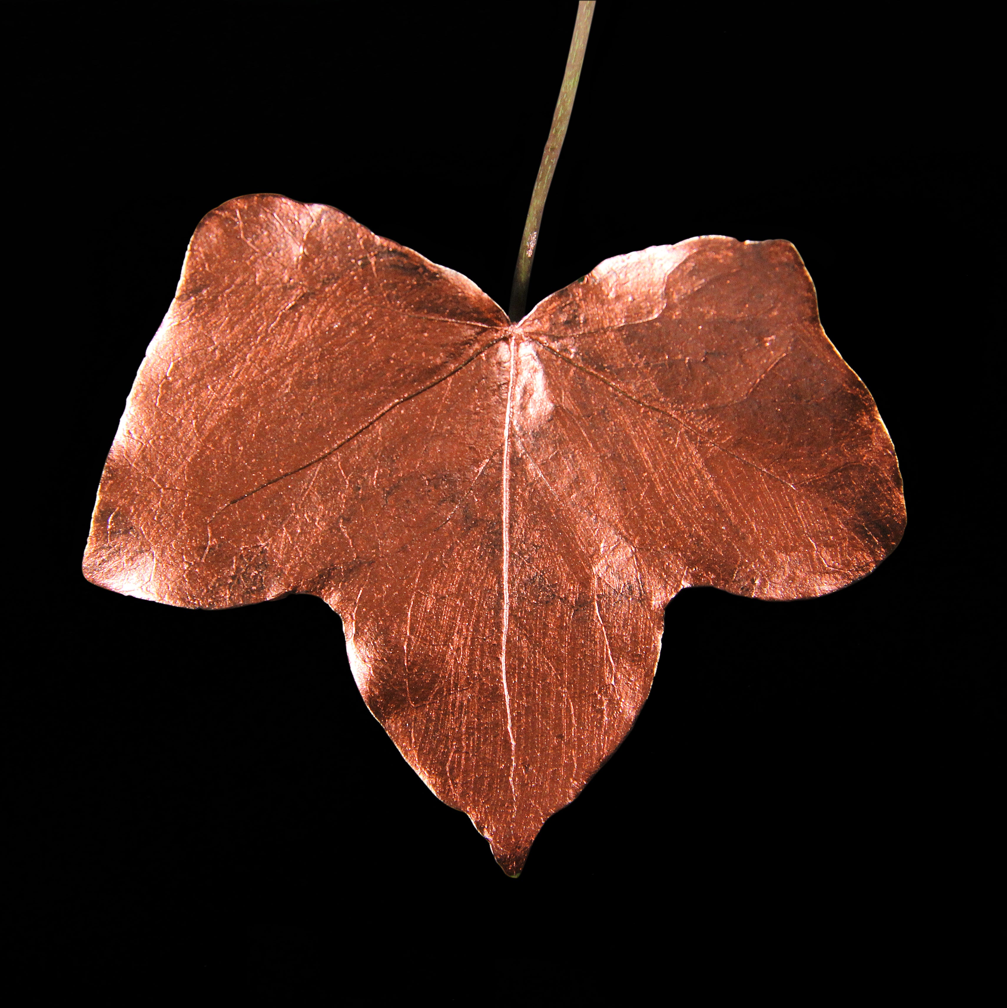 Leaf_CPR_#1.jpg