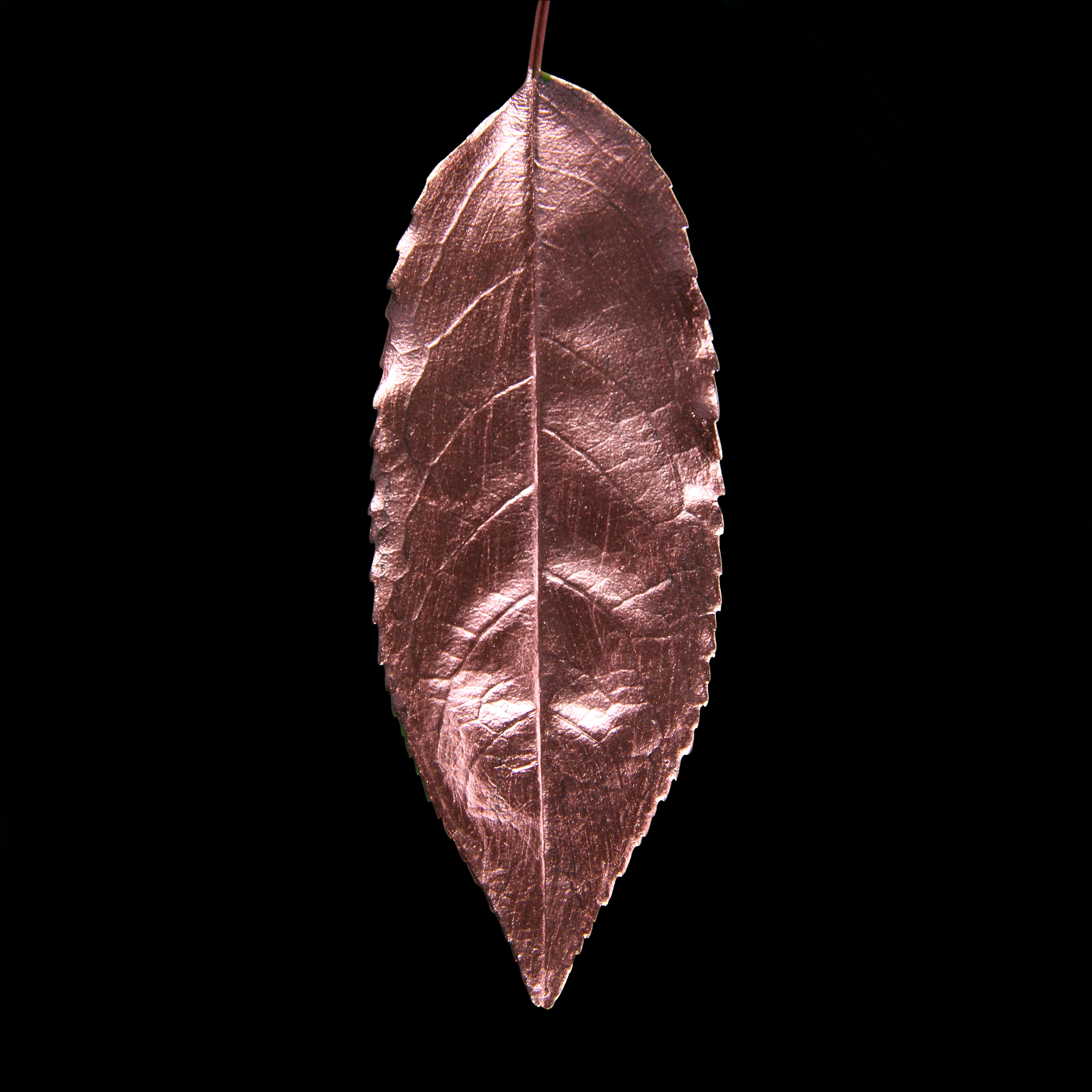 Leaf_RG_#3.jpg