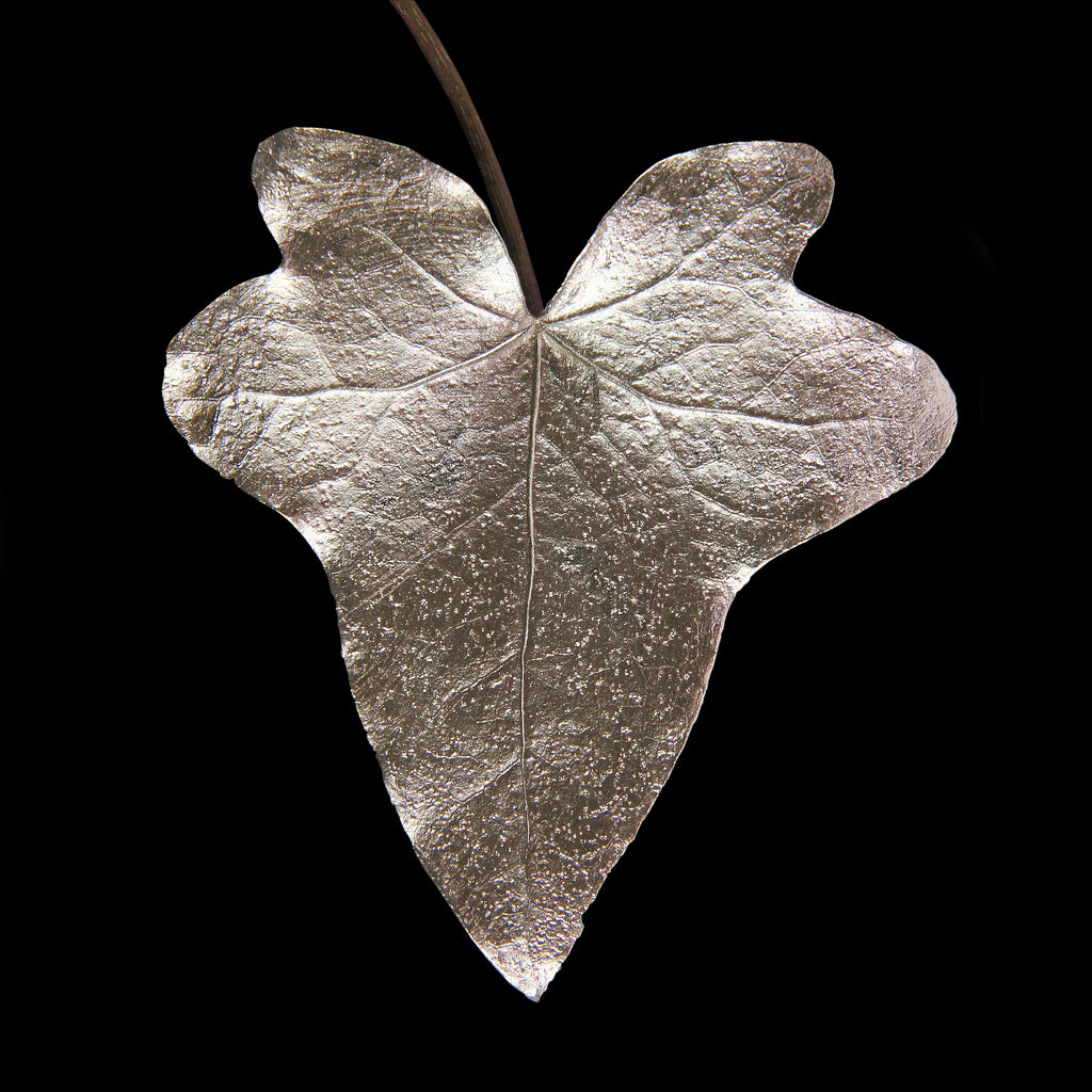 Leaf_CHMP_#1.jpg