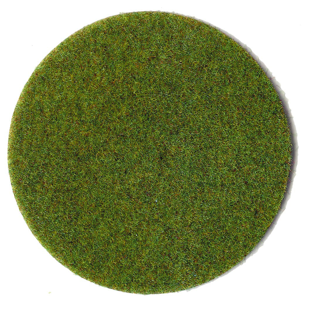 5546735.jpg