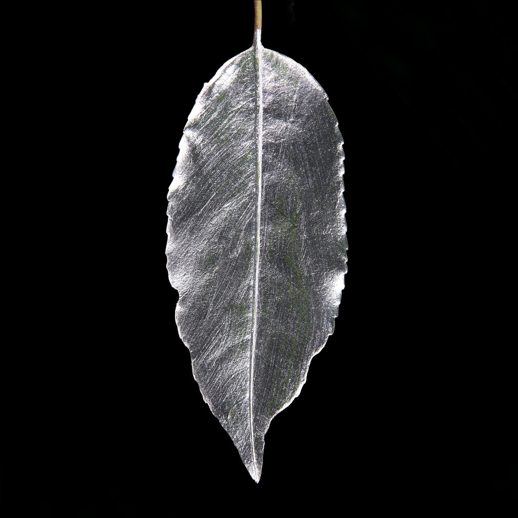 Leaf_SLVR_#3.jpg
