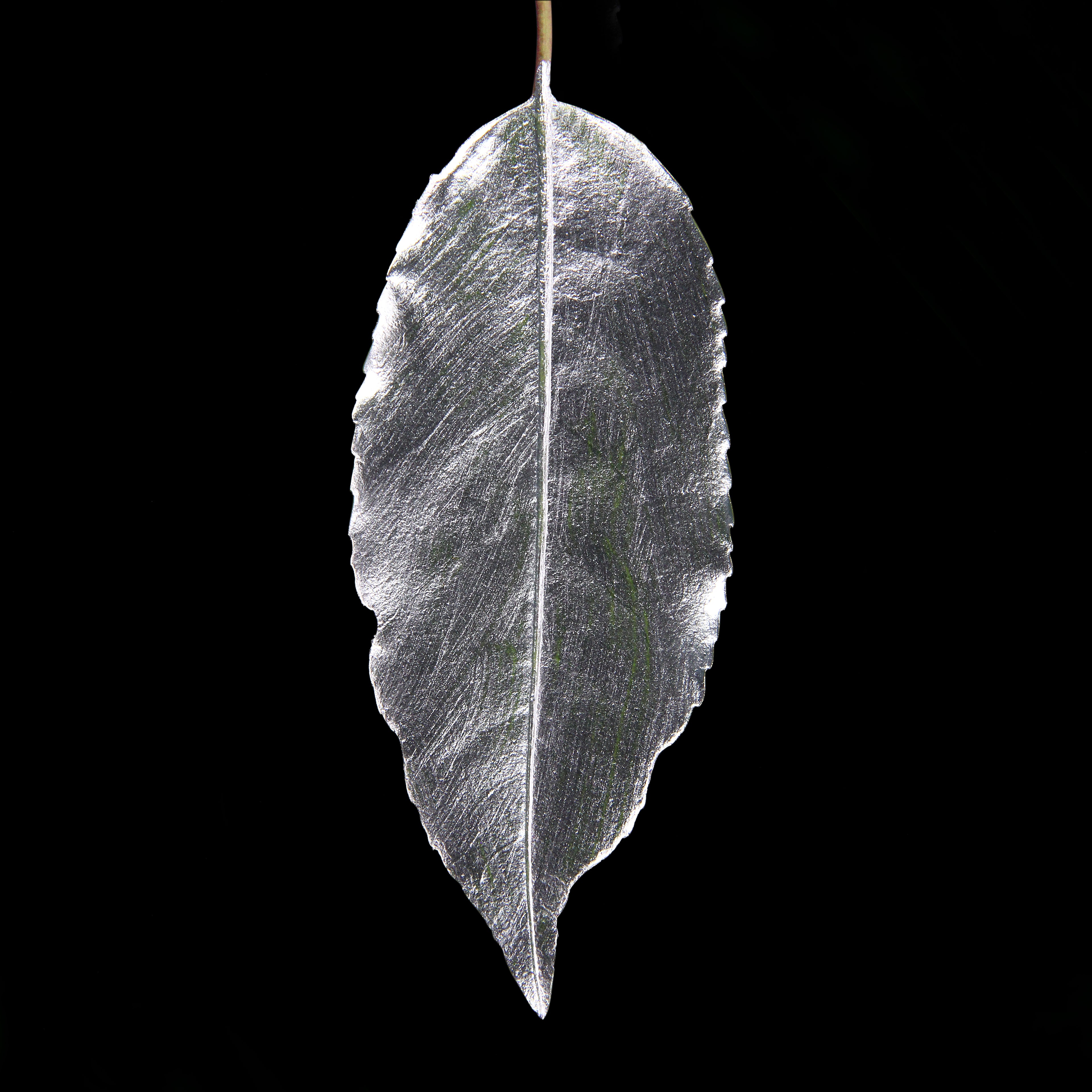 Leaf_SLVR_#3.jpg
