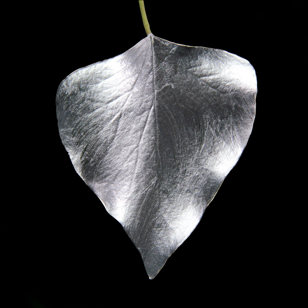 Leaf_SLVR_#4.jpg