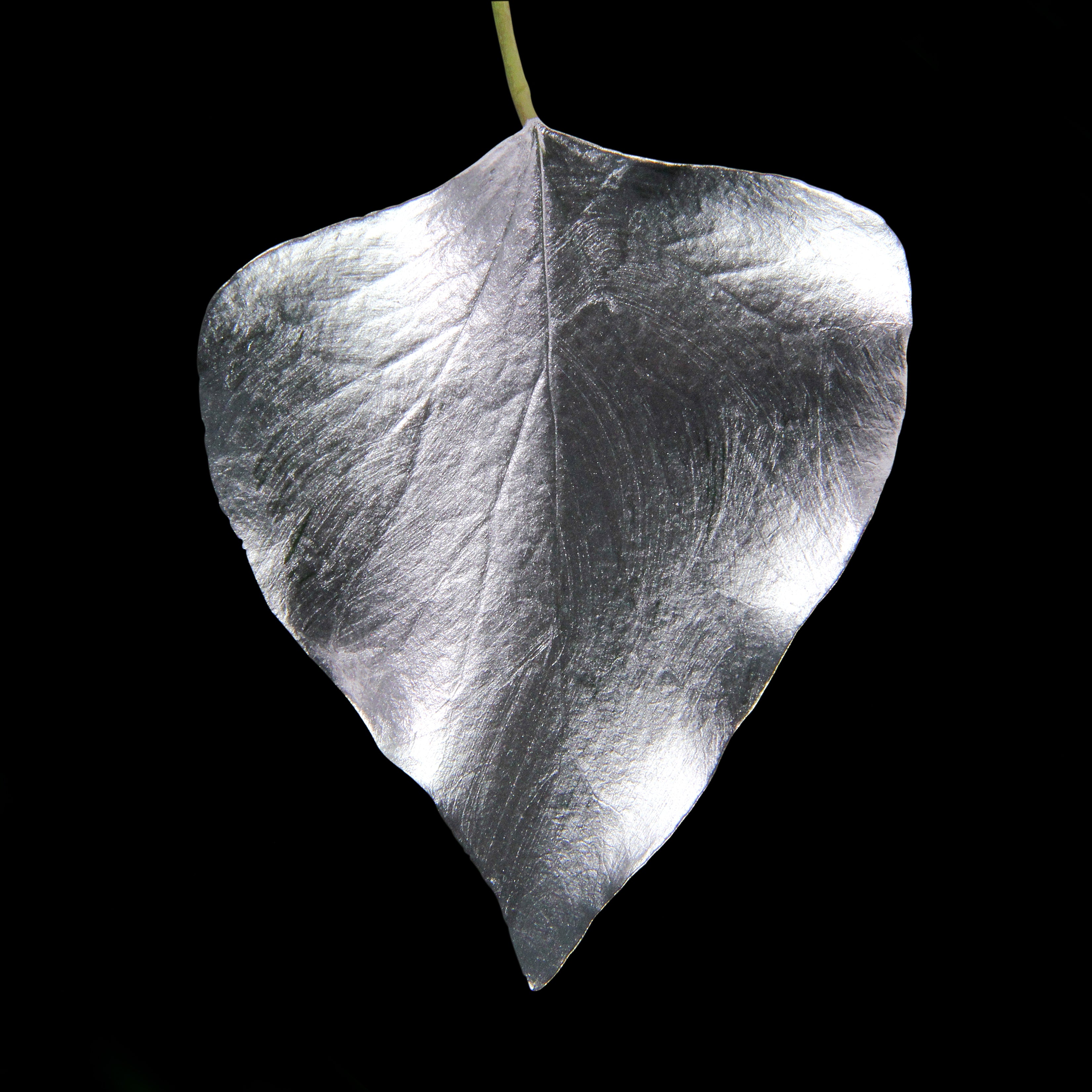Leaf_SLVR_#4.jpg