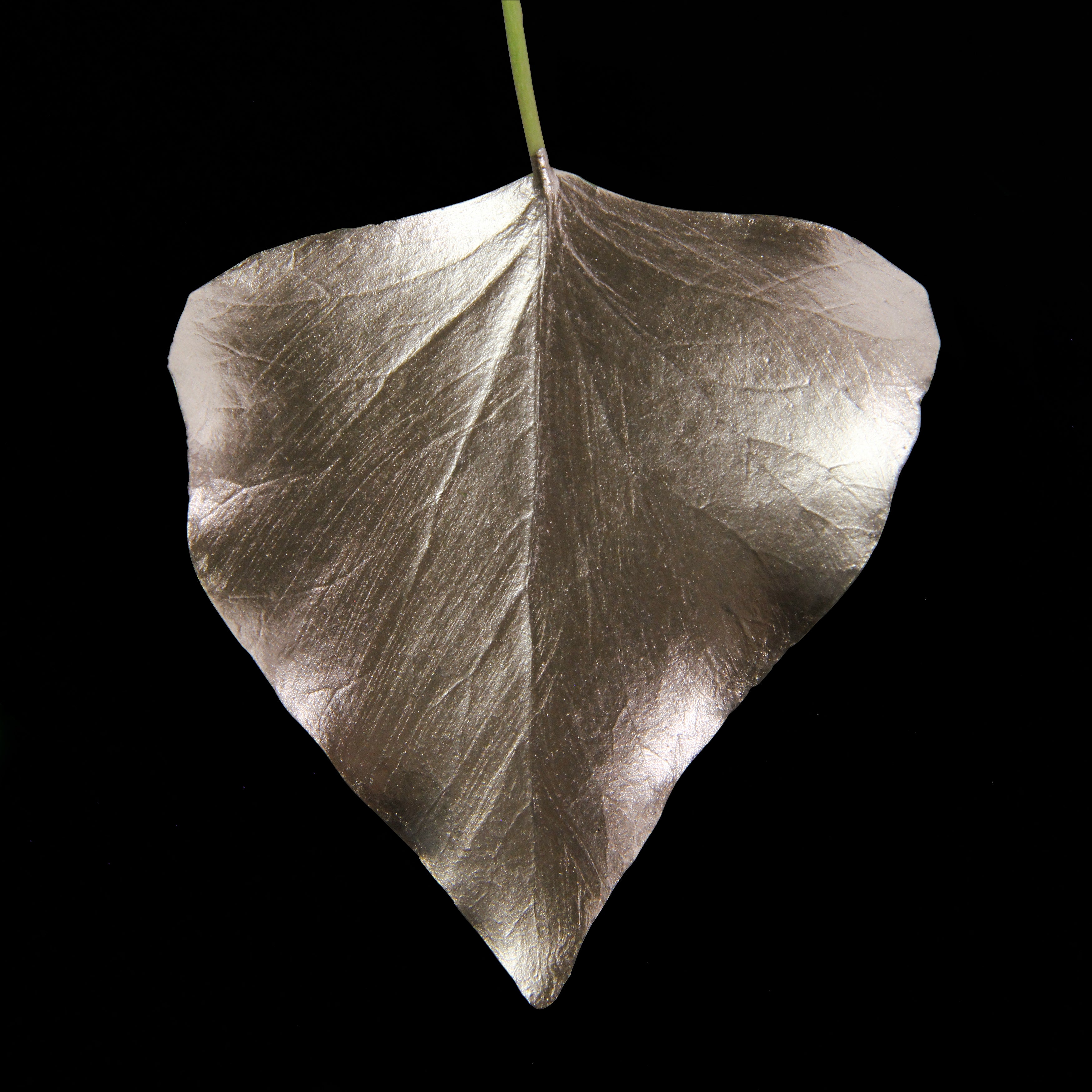Leaf_CHMP_#4.jpg