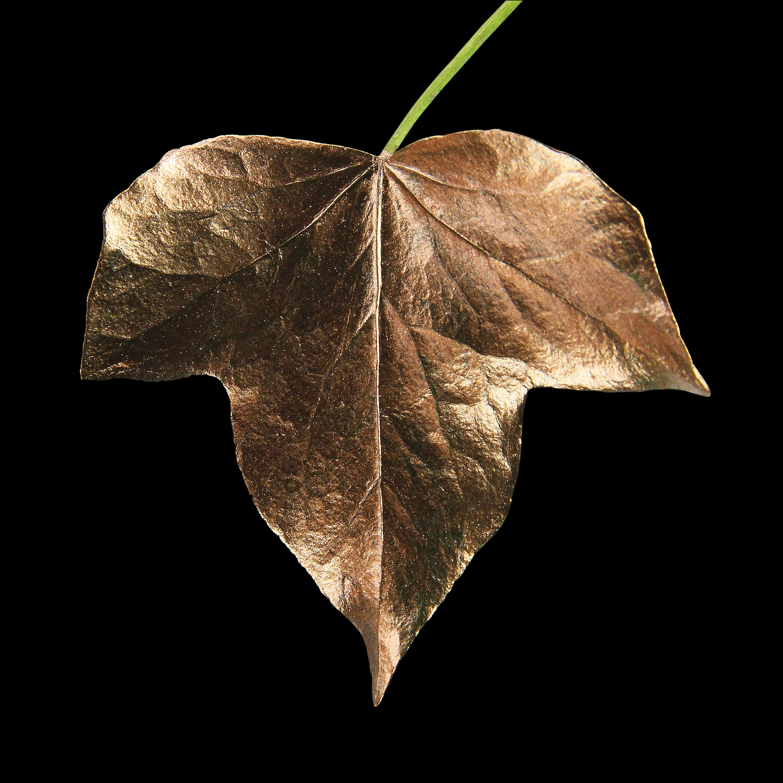 Leaf_BNZ_#1.jpg