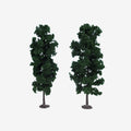 1130 2 Beech Trees 18cm (Dark Green)