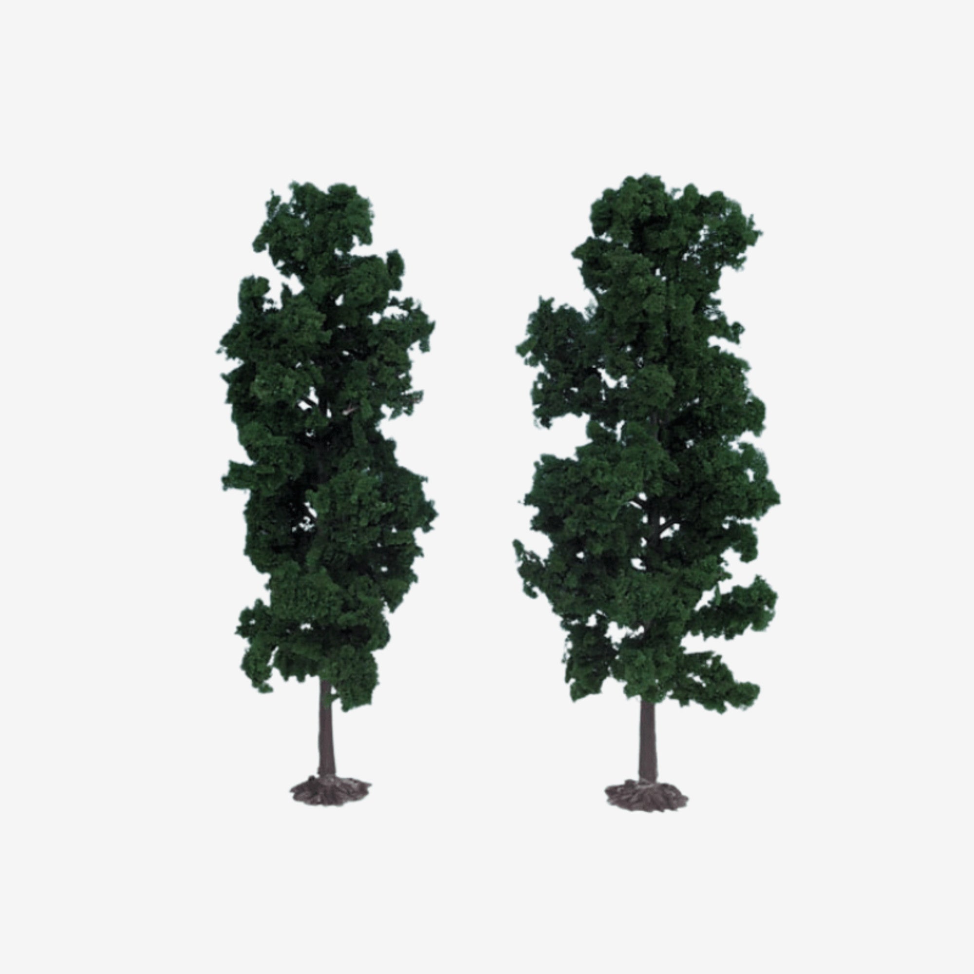 1135 2 Beech Trees 18cm (Light Green)