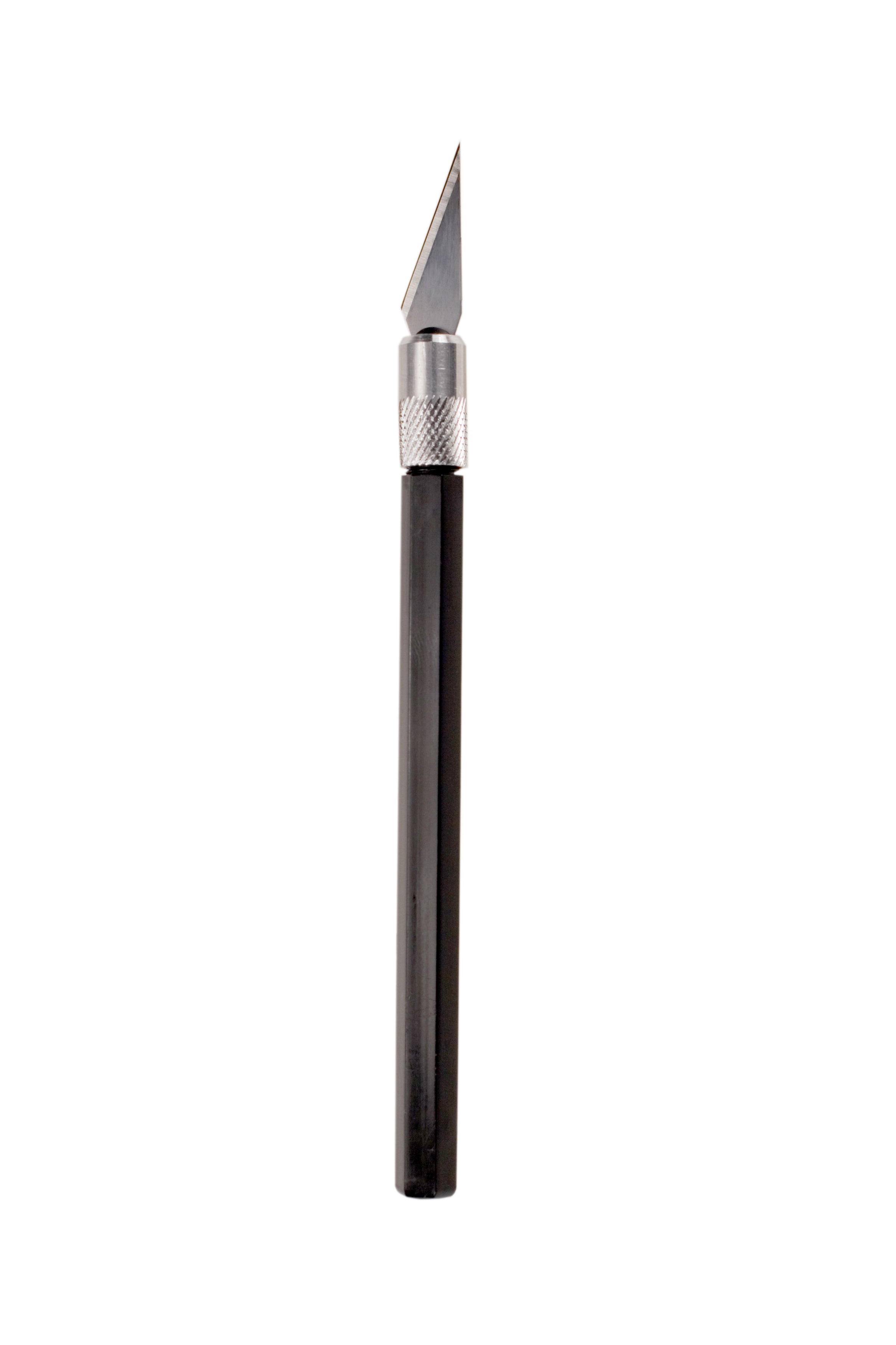 EXL16034.jpg