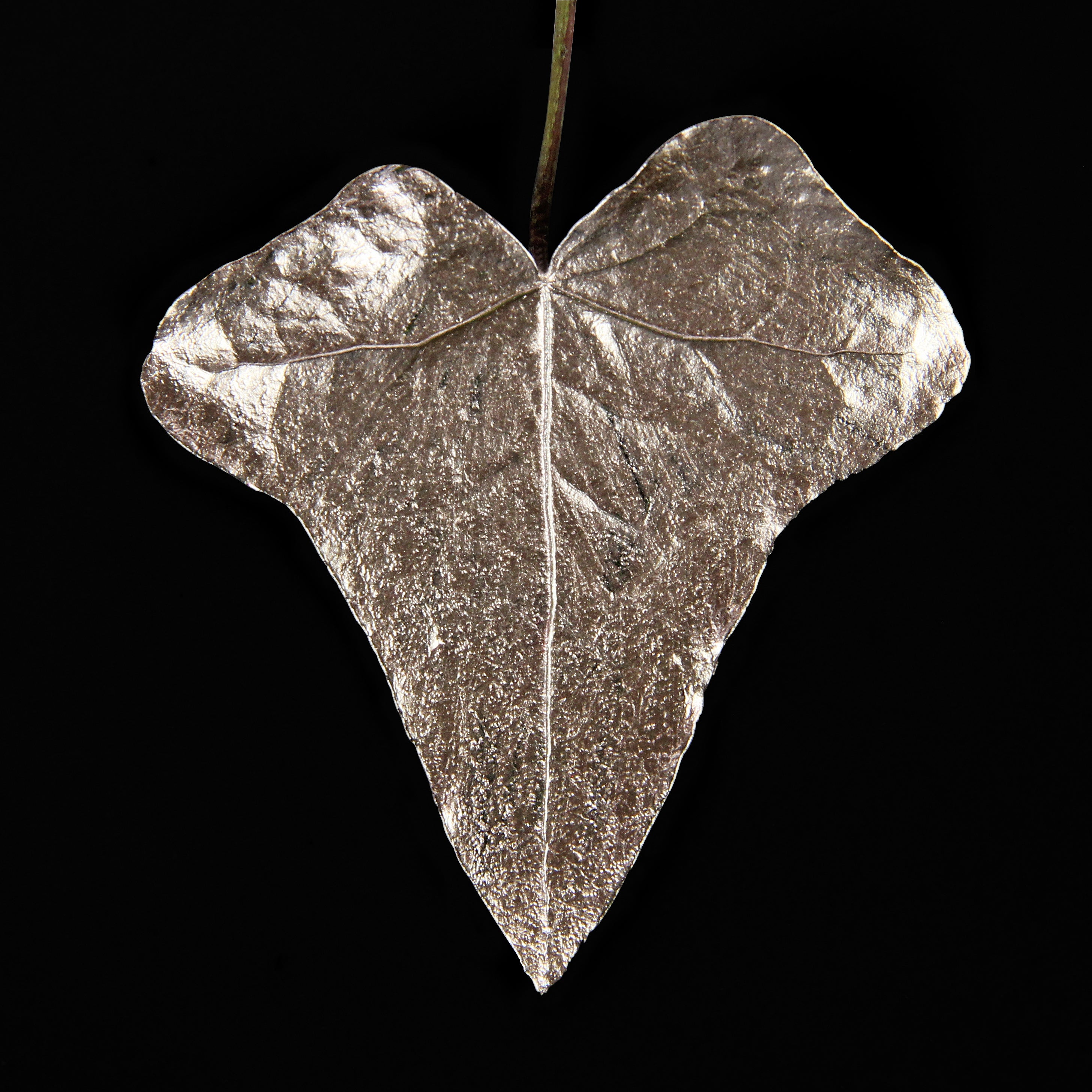 Leaf_CHMP_#5.jpg