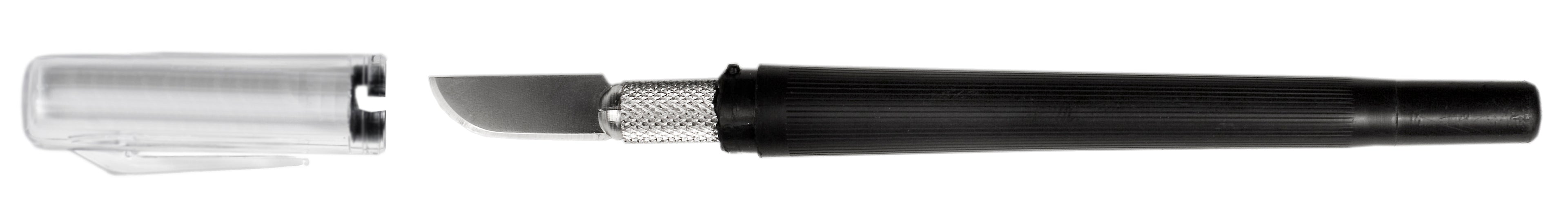 EXL17003.jpg