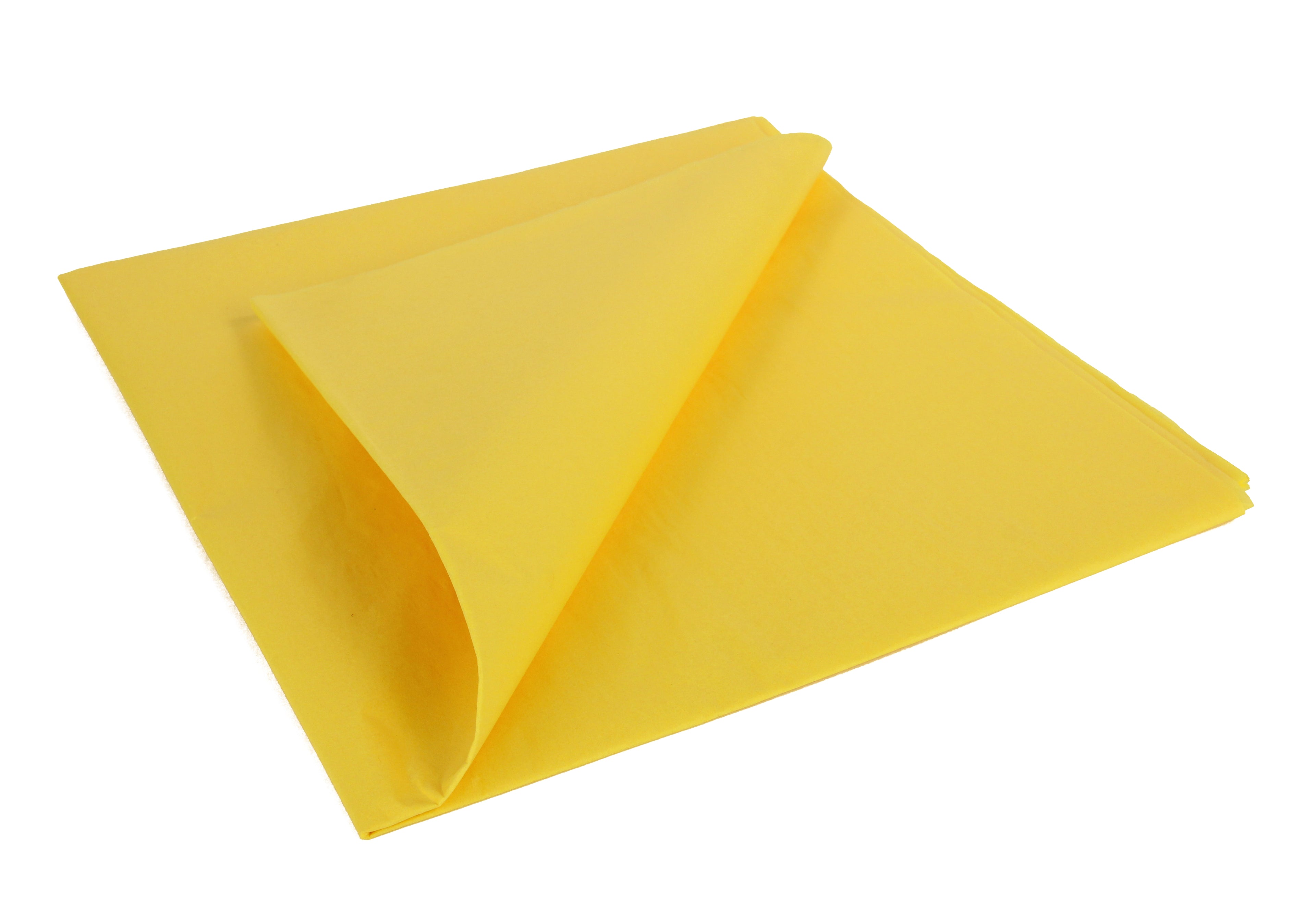 5525203.JPG