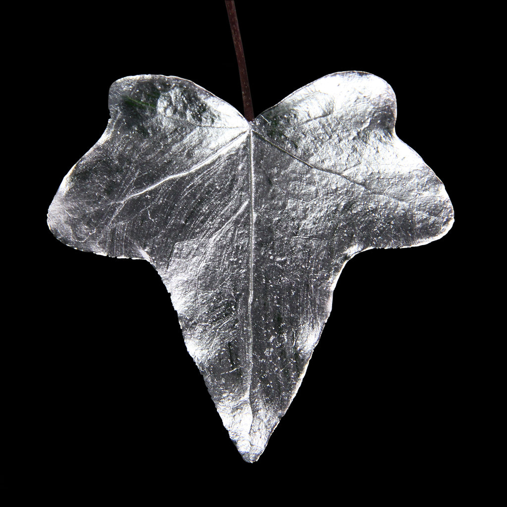 Leaf_SLVR_#1.jpg
