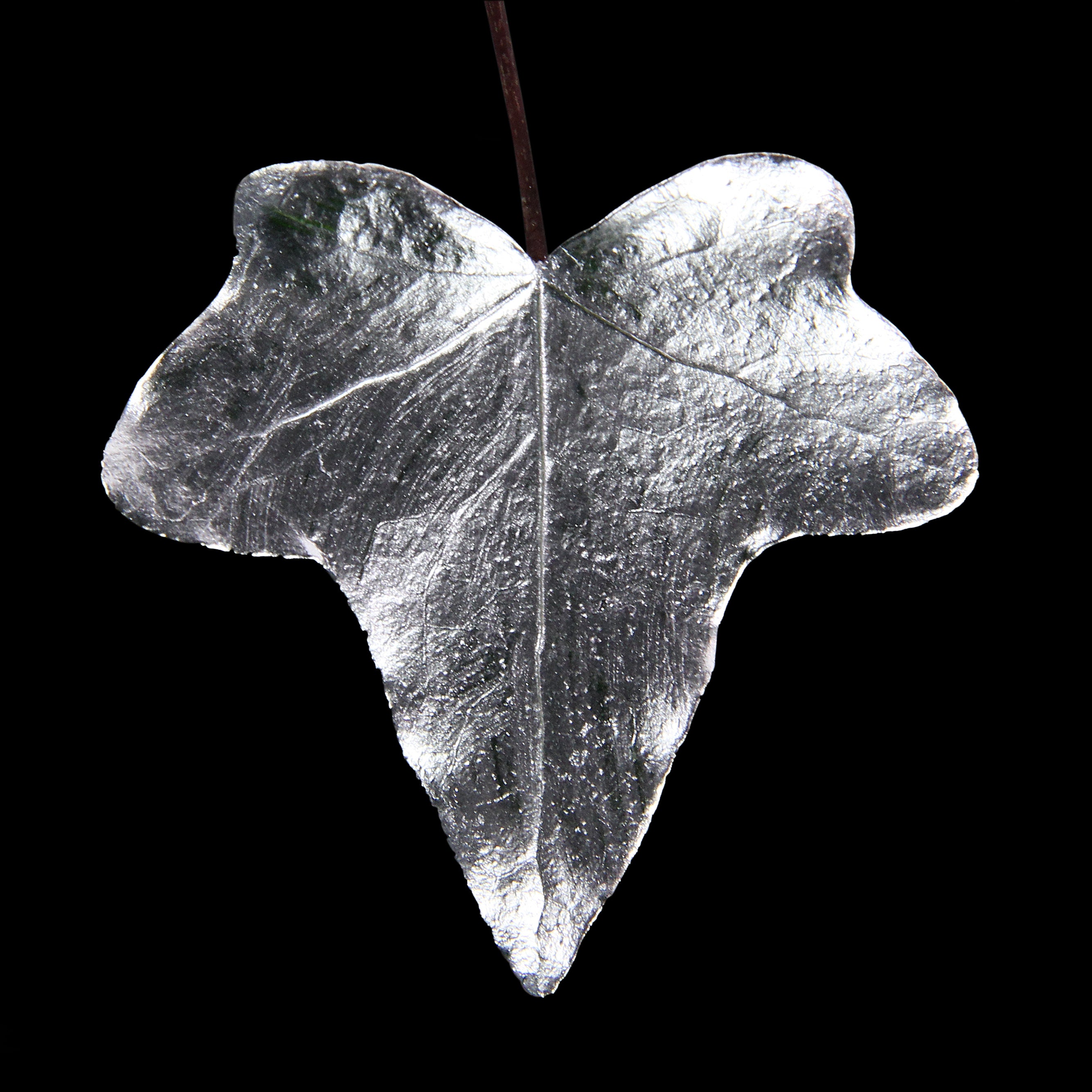 Leaf_SLVR_#1.jpg