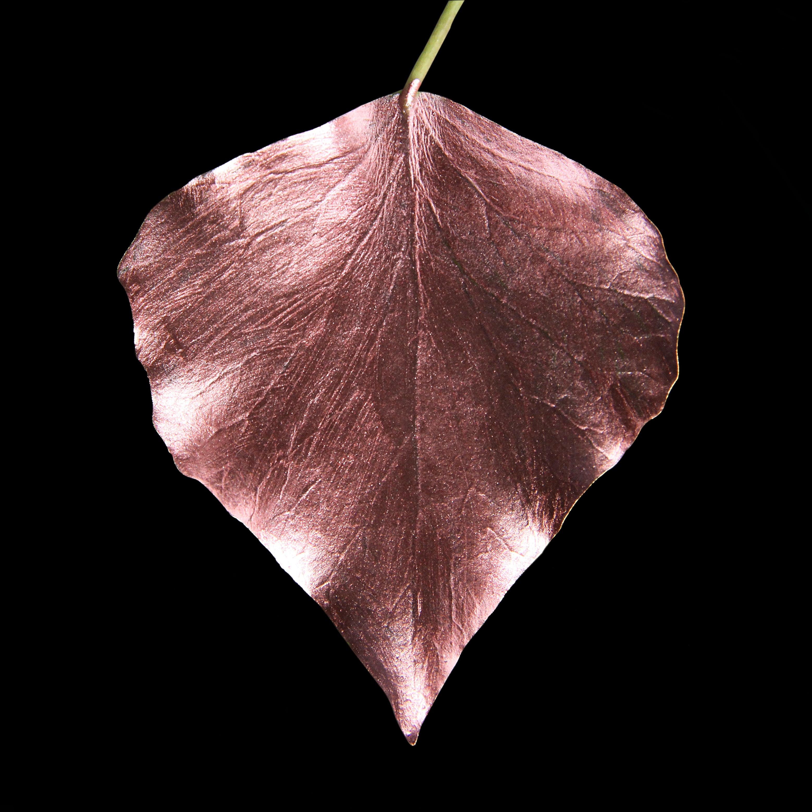 Leaf_RG_#4.jpg