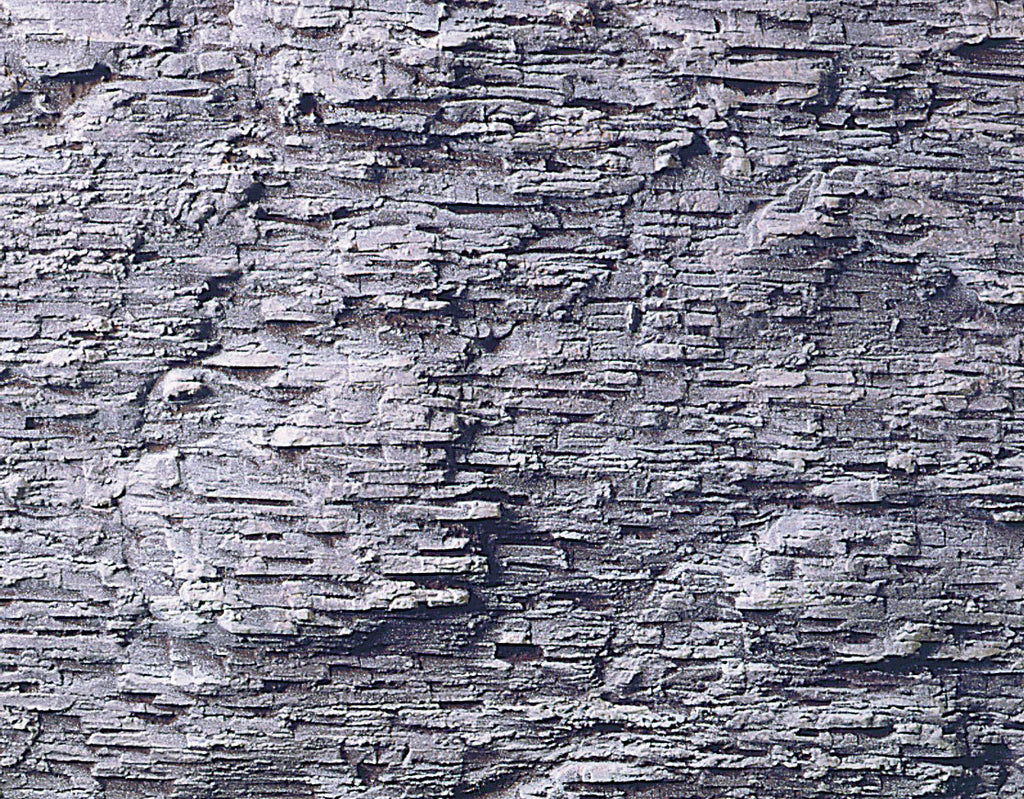 5546265a.jpg