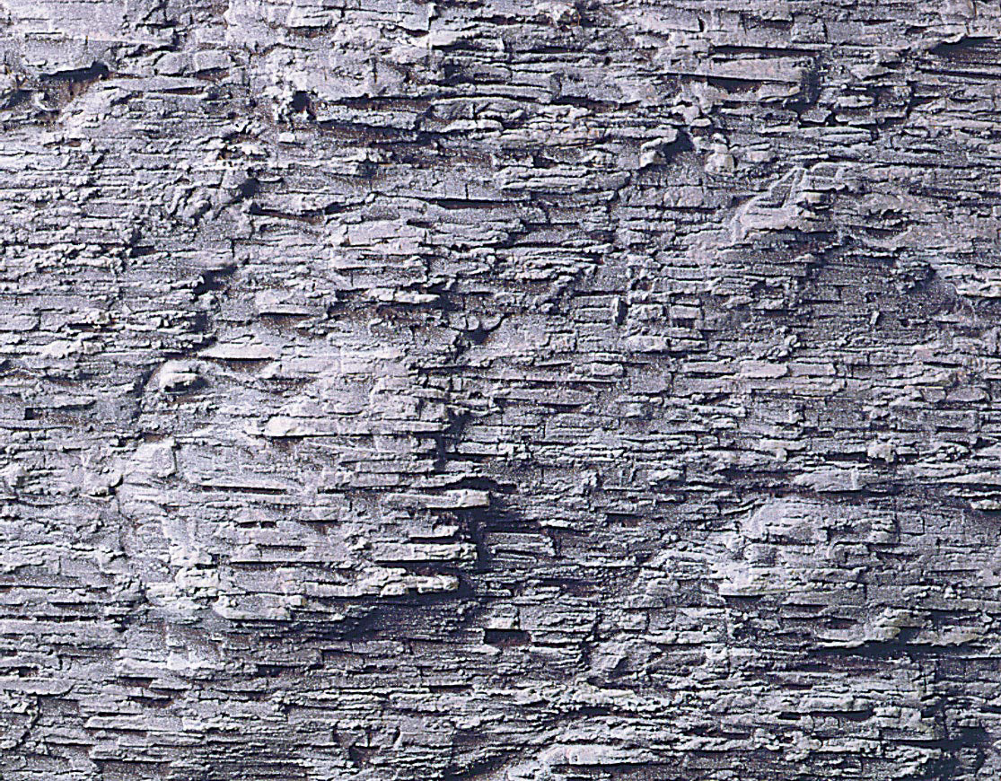 5546265a.jpg