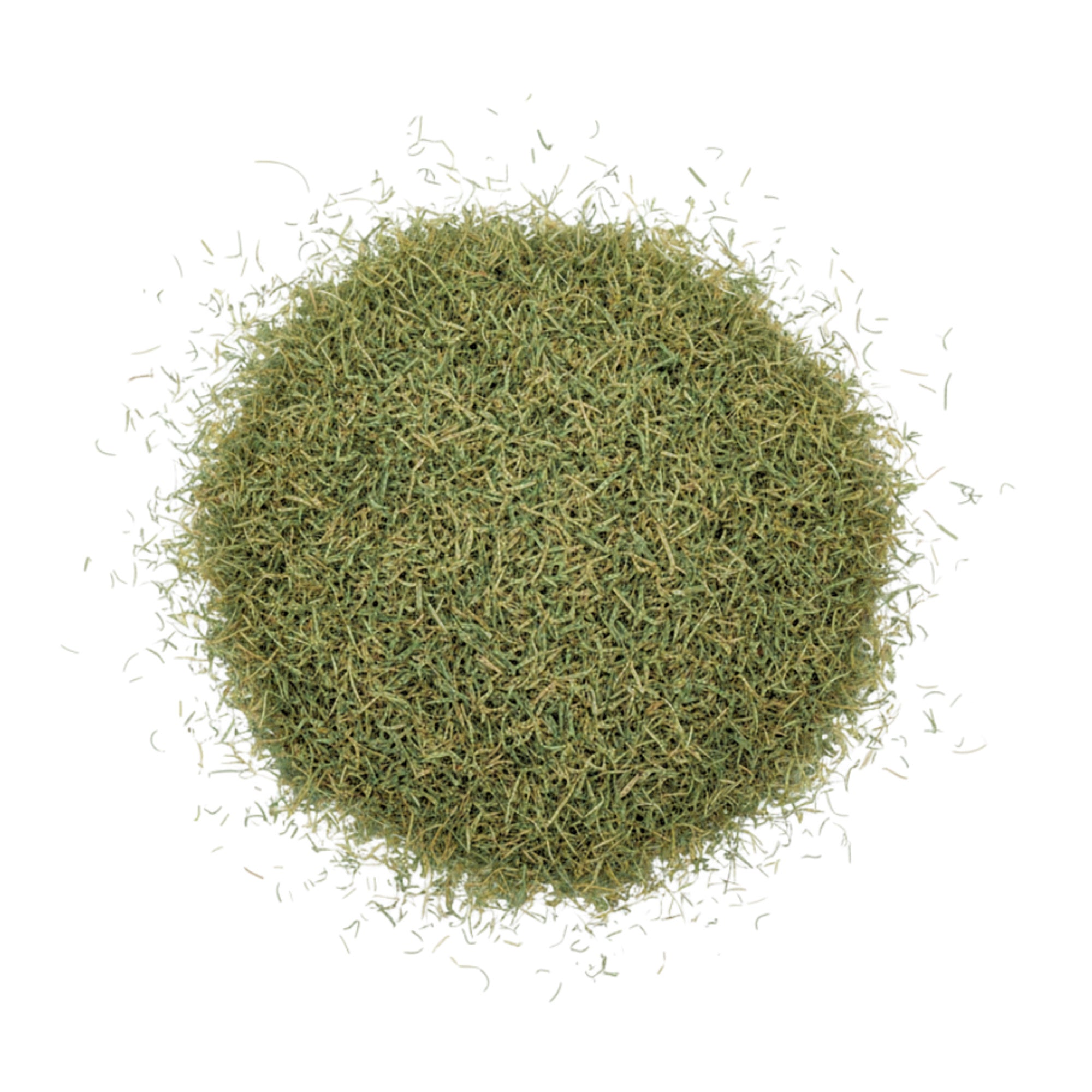 Wild Grass Savanna (1574)