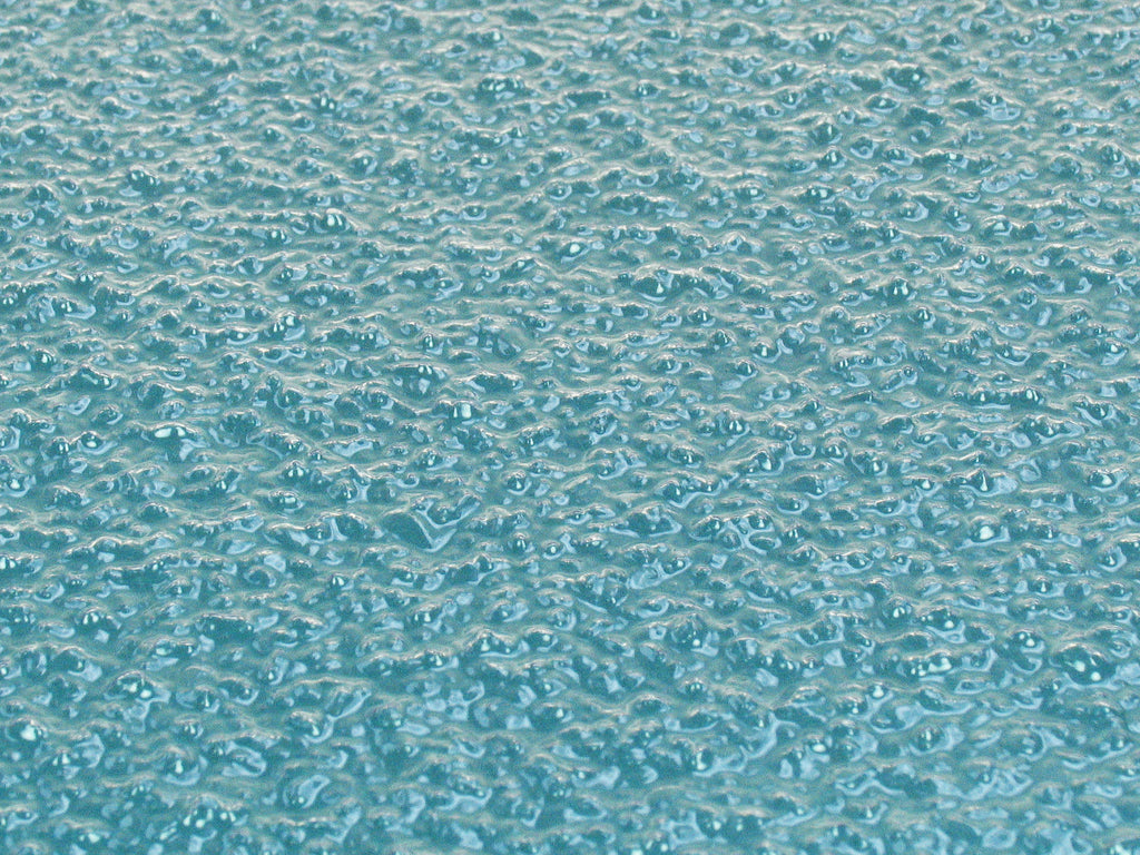 5546255a.jpg