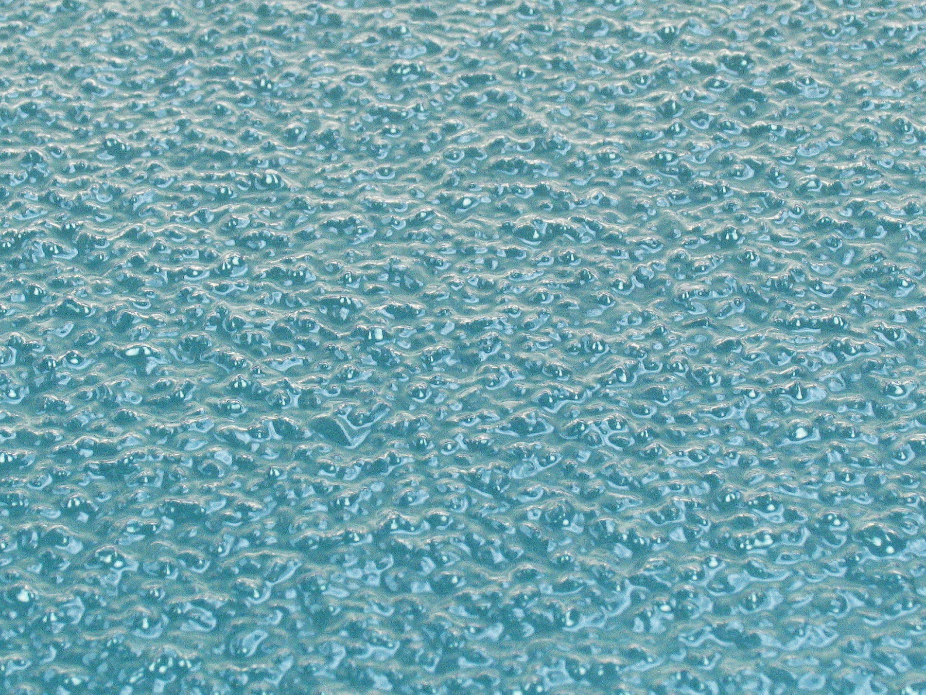 5546255a.jpg