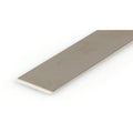 Stainless Steel Strip 1/2in, .012in, Thick (12in, long)