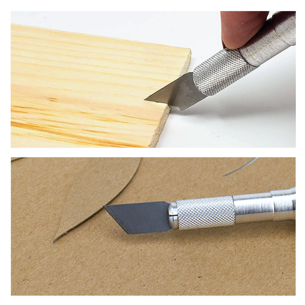 22619AmazonImages-07.png