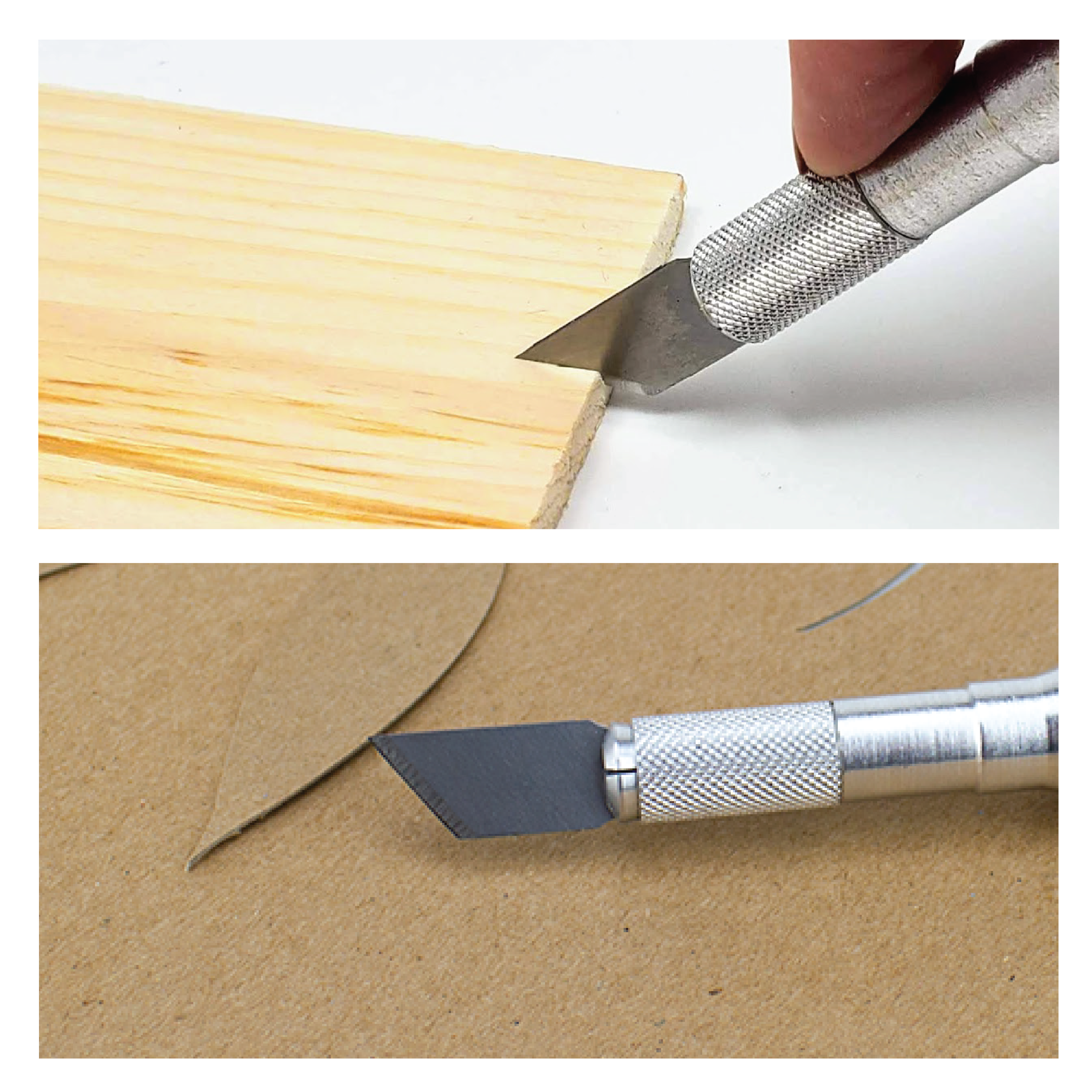 22619AmazonImages-07.png