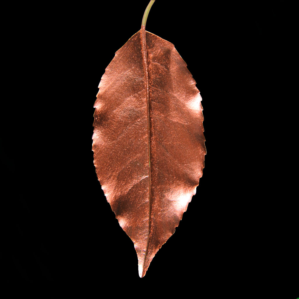 Leaf_CPR_#3.jpg