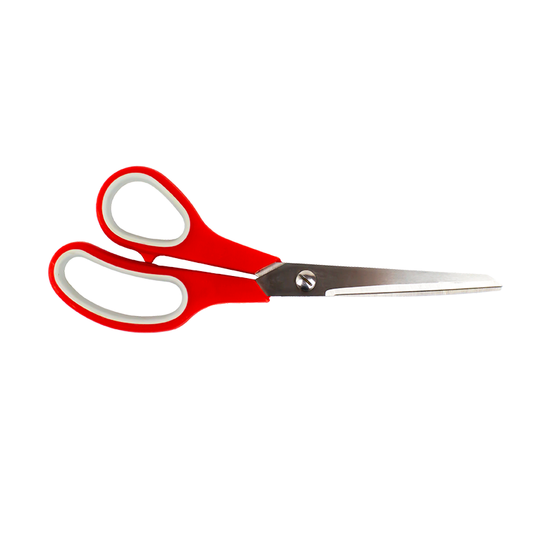 55620_1nobackground800x800.png