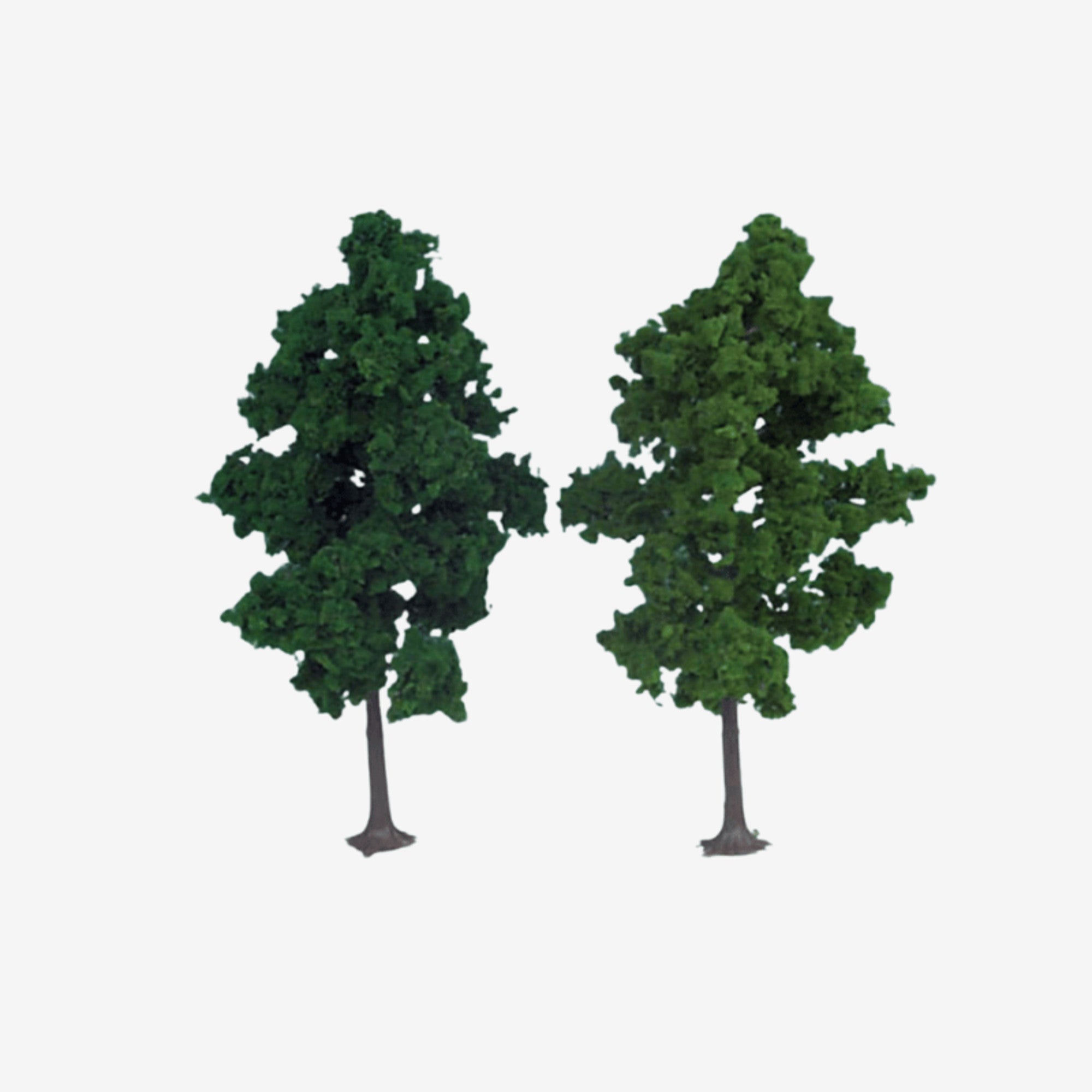 1135 2 Beech Trees 18cm (Light Green)