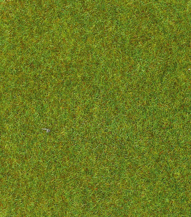 5546010.jpg