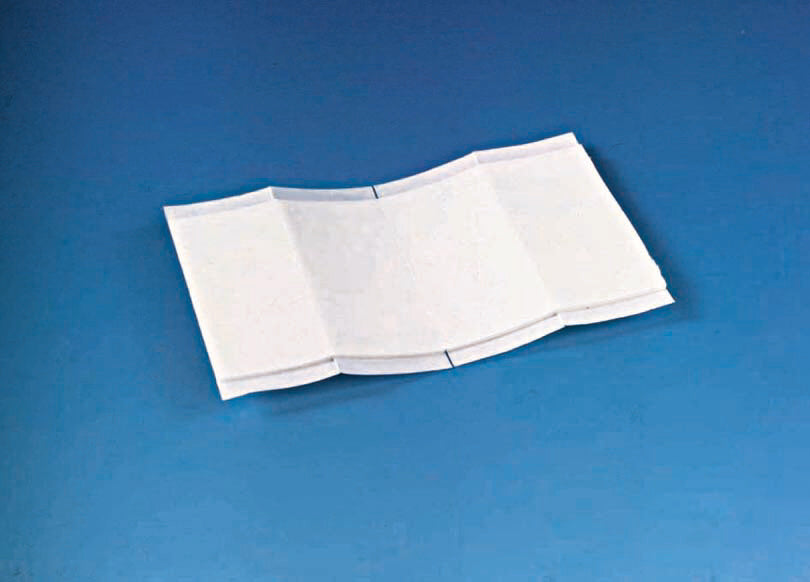 5508003.jpg