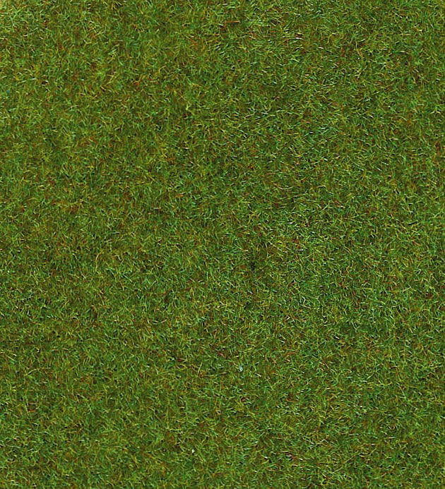 5546035.jpg