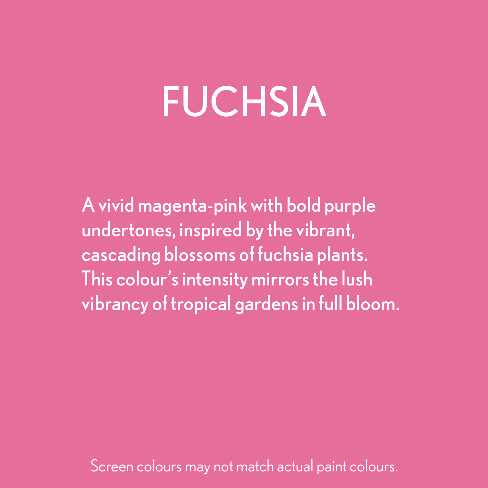 006-fuchsia-description.png